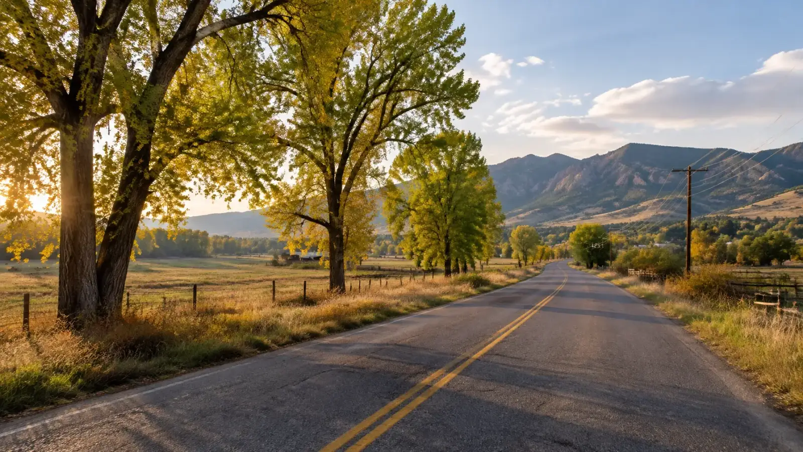 A rural Boulder County road bordered by fields and cottonwoods near Niwot and Gunbarrel